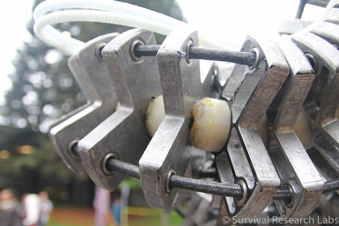 SRL-An Explosion of Ungovernable Rage